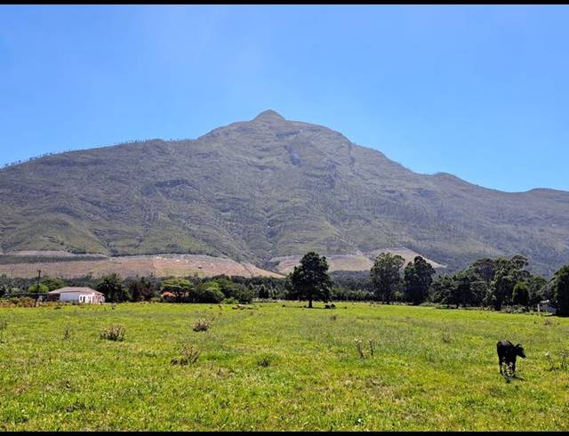 FARM FOR SALE IN TSITSIKAMMA